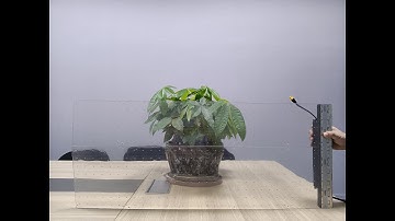 Media Facade Transparent Screen -- Nanoflex