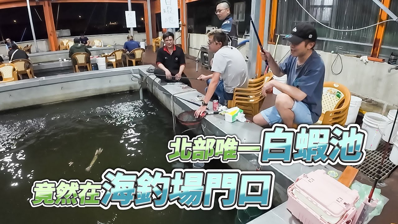 【台客去釣蝦】釣白蝦不用再跑到宜蘭了！北台灣唯一的白蝦池就在海釣場門口！ feat.賀珈泰國蝦養殖場