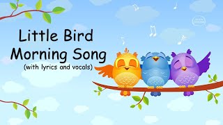 Little Bird Morning Song