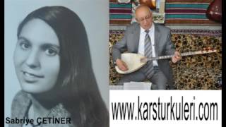 Ardahan Ovaları (Sali̇h Şahi̇n)