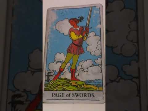 Video: The Page of Swords Tarot Card en de betekenis ervan in relaties, liefde en werk
