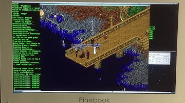 Ultima 8 Pagan on NetBSD arm64 Pinebook