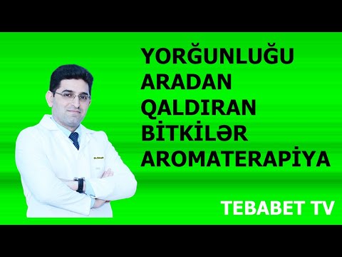 Video: Bitki Xlorozunu Necə Aradan Qaldırmaq Olar