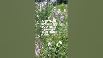 Comment COOL and I’ll DM the link