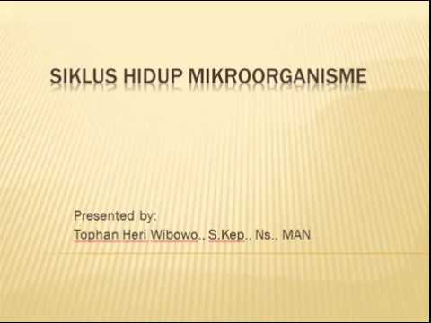 siklus hidup mikroorganisme