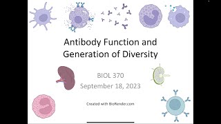 Immunology Fall 2023: Lecture 8 Antibody Structure and Diversity