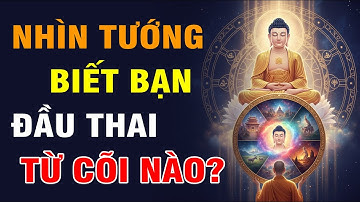 Chỉ Cần Nhìn Tướng Là Biết – Bạn Đầu Thai Từ Cõi Nào?