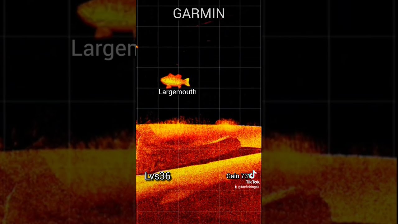 NEW Garmin Livescope LVS36 PLUS Fishing
