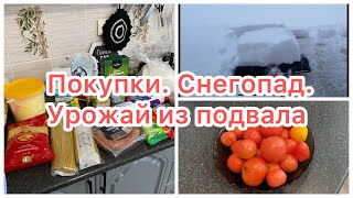 Покупки на 3000 р. Чуть не сломало теплицу. Свои помидоры в декабре.