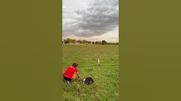 THRUST VECTOR ROCKET V2 LAUNCH (EPIC FAIL!!)