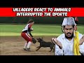 Villagers React To Most Unexpected Animal Interference Moments in Sports | Tribal People Try