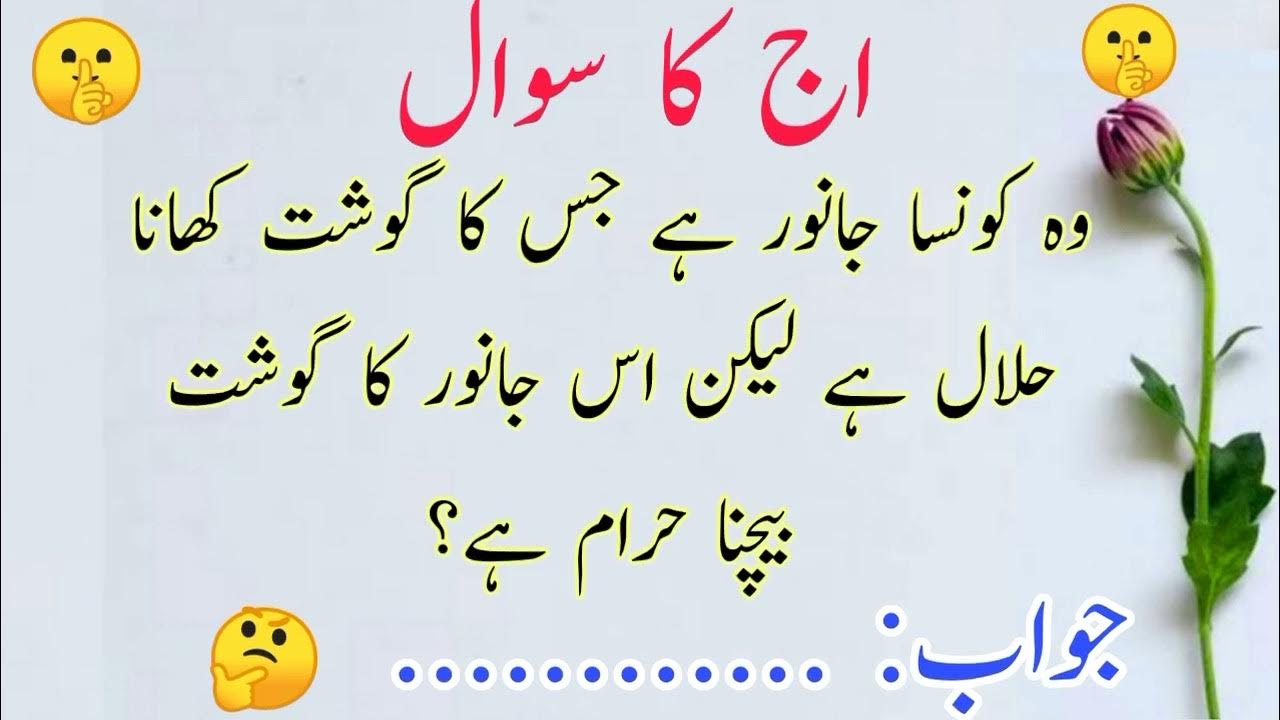 Common sense test questions answer gk in urdu hindi urdu zindagi youtube