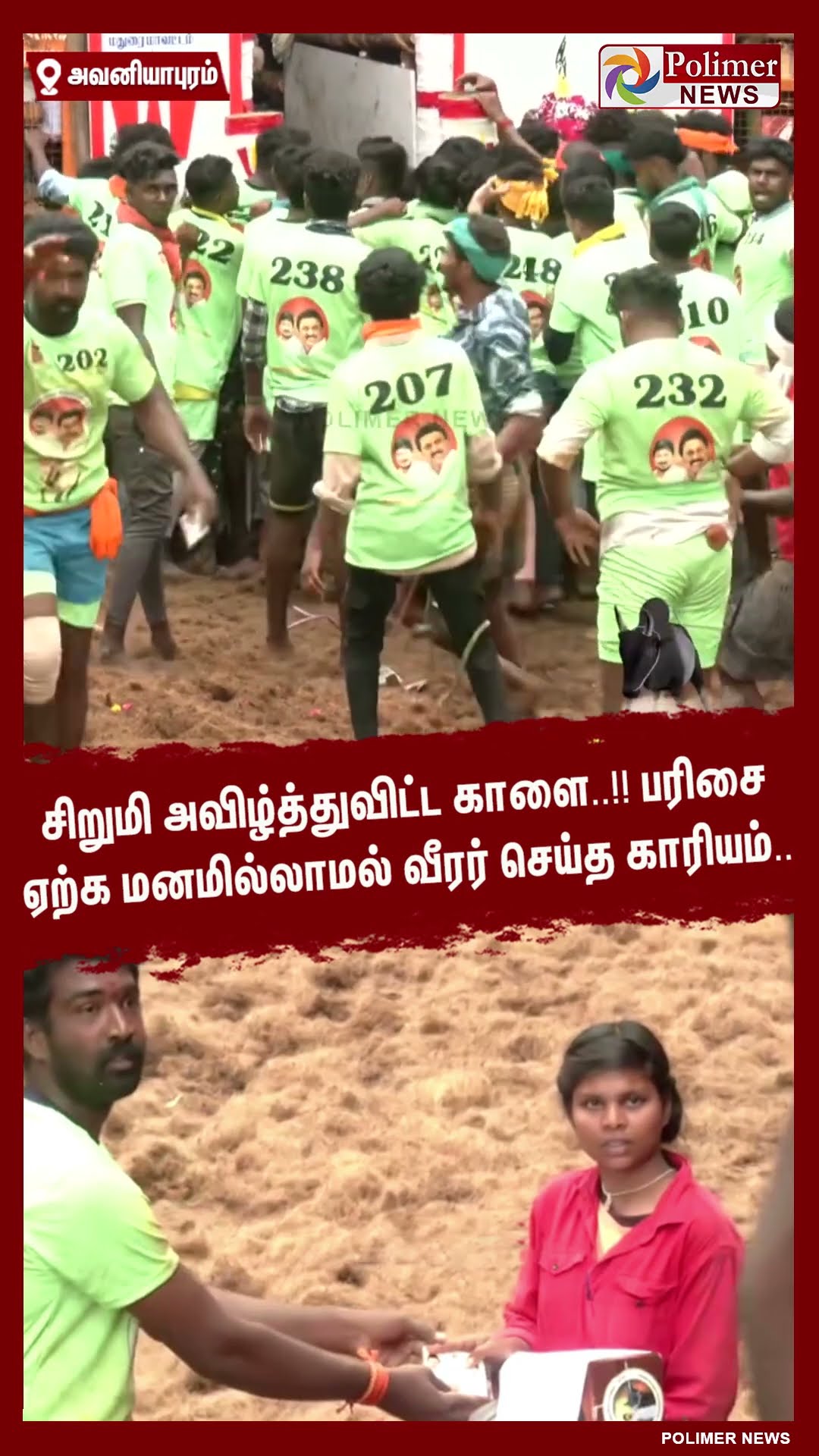 சிறுமி அவிழ்த்துவிட்ட காளை..!! பரிசை ஏற்க மனமில்லாமல் வீரர் செய்த காரியம்..  #shorts