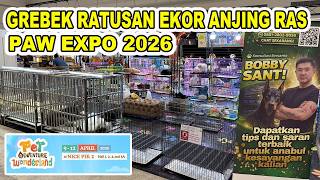 Grebek Jual Ratusan Anjing Ras Di Paw Expo 2026