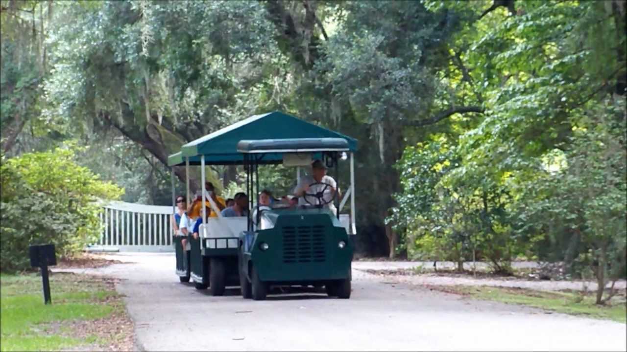 magnolia plantation train tour
