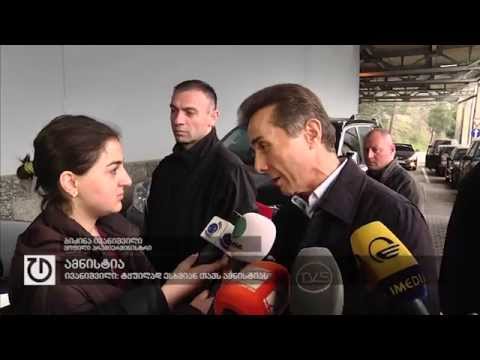 ივანიშვილი: ტყუილად ესხმიან თავს ამნისტიას