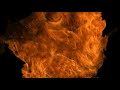 16 10 Animated Matte starter