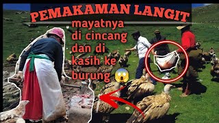 MAYATNYA DI POTONG-POTONG DAN DI MAKAN BURUNG NASAR (BURUNG PEMAKAN B4NGK4I)😱