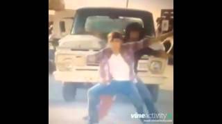 Allicatt Vine Compilation