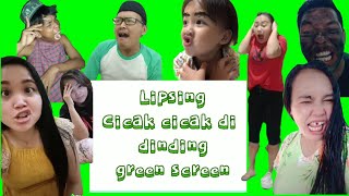 green screen lipsing cicak cicak di dinding Tiktok