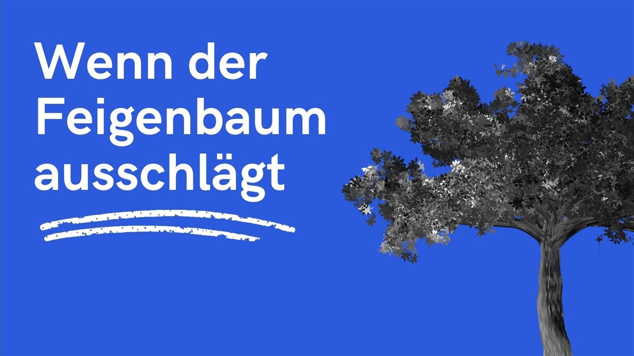 Willy Zorn | Wenn der Feigenbaum ausschlägt