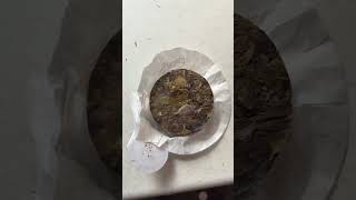 Один день из жизни безработного программиста #деньизжизни