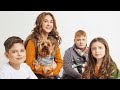 Social project to help homeless animals by the Amillidius AC
