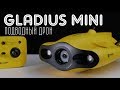 Gladius Mini подводный дрон — распаковка и первый взгляд