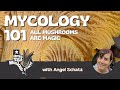 Mycology 101