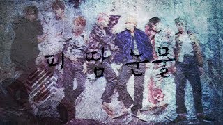 Bts 방탄소년단 - Blood Sweat & Tears Color Coded Lyrics Hanromeng