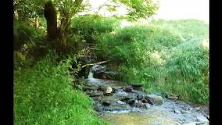 RUTA DO RÍO PEQUENO (O COUREL) LUGO 2017