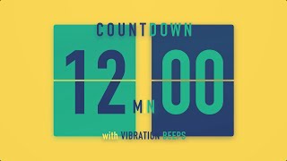 12 Minute Countdown Timer ⚡️ Flip Clock with Vibration Beeps