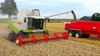 Graan oogst met Claas Lexion 580/ Krone BiG Pack1290 HDP. Delger Drieborg.