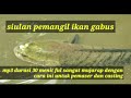 siulan ikan gabus