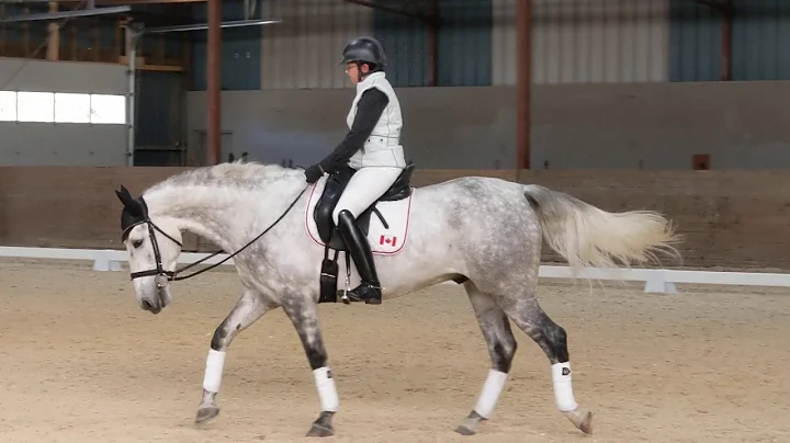 Dressage: Christine Jacobson and VA Centurion, PRE...