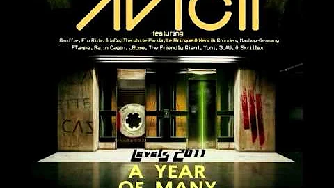 Levels 2011 - A Year of Many Levels (Mashup Compilation)