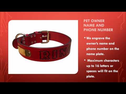 personalized-dog-collar-in-red-1.5-inches-wide