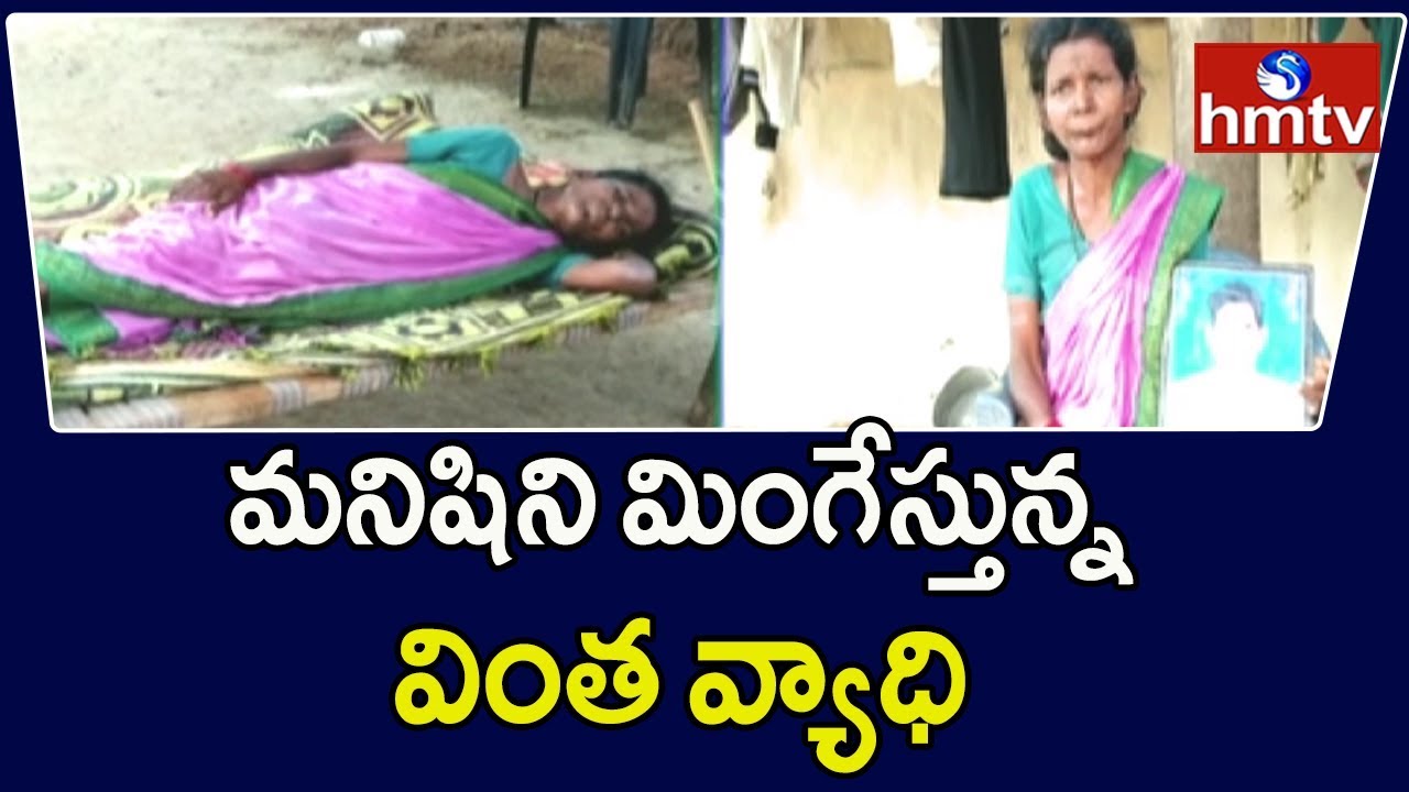 telugu news online live Strange disease in Adilabad District | hmtv Telugu News