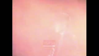 Ari Lasso 2