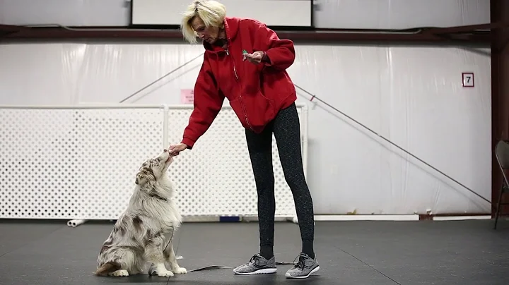 Introduction to Scent Detection