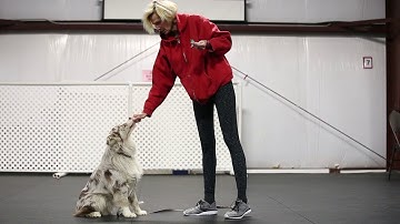 Introduction to Scent Detection