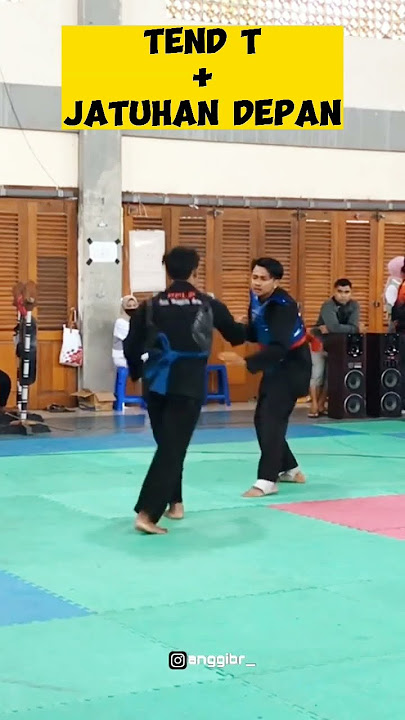 Kombinasi Teknik Tendangan T   Jatuhan Pencak Silat