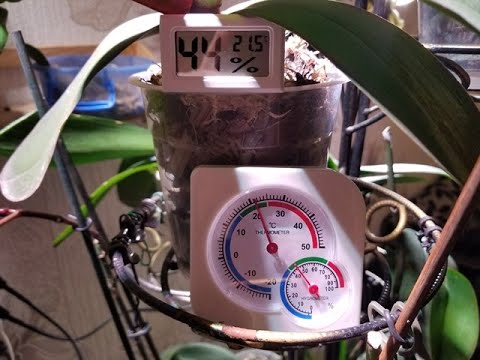 ორქიდეომანია # როგორ გავზომოთ ჰაერის ტენიანობა