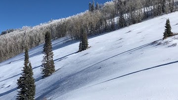 Collapsing of persistent weak layer