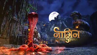 Dil Ibadat kar raha hai | Instrumental | Naagin 5🐍(mp3 format link in description to download)