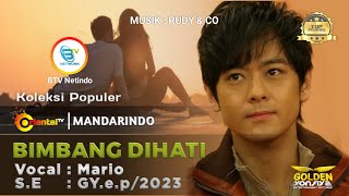 MARIO - BIMBANG DIHATI | Koleksi Populer (Madarin Indonesia)#mandarindo