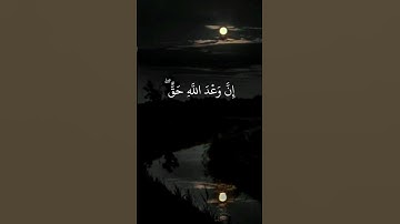 الشيخ محمد أيوب | سورة لقمان