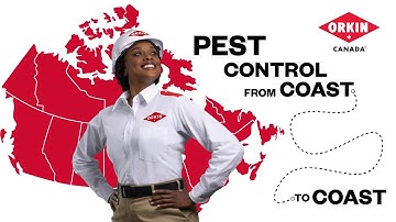 Pest Control From Coast To Coast | Orkin Canada