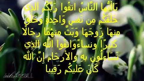 سورة النساء اية ١ جمال القرش