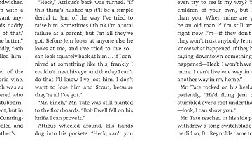 To Kill a Mockingbird - Chapter 30